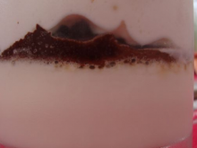 Panna cotta citronelle, croquant de chocolat et espuma au gingembre