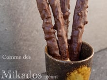 Comme des Mikados géant !