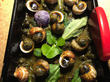 Aumônières d'escargots et de grenouilles