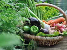 Une célèbre ONG dévoile le légume le plus contaminé de l'année qu'il faut absolument acheter en bio