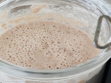 Levain chef sans gluten