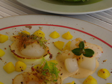 Noix de Saint-Jacques en chaud et froid : saisies, poêlée de pommes au Calvados, fin velouté d'endives / en carpaccio citron vert,endives et pommes à crues, crème acidulée aux herbes.