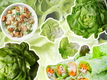 La revanche de la laitue : pourquoi la salade est-elle devenue le plat le plus stylé de 2026 ?