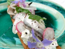 Tarte fine Philadelphia, anchois marinés et herbes du jardin