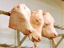 Ce qu'il faut savoir sur les produits tripiers car ils ne sont pas BEURK