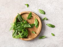 Basilic illimité : la technique pour en avoir tout l’été sans semis