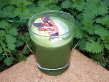 Soupe d'ortie, laitue, rutabaga et chantilly lardons, basilic pourpre