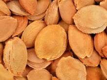 Voici pourquoi vous ne devriez pas jeter vos noyaux de pêches ou abricots dans la nature