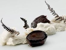 Fromage blanc de lait de brebis et foin, feuilles brulées de fougères et courge glacé dans un sirop non doux