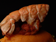 Grosse langoustine poêlée aux épices Tandoori, mousseline de jeunes carottes aux agrumes confits, réduction de cébettes au beurre noisette