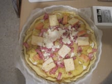 Tourte du nord rapide