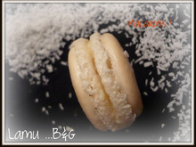 Macarons chocolat blanc et noix de coco