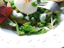 Scones au roquefort, légumes primeurs, sauce roquefort ail des ours