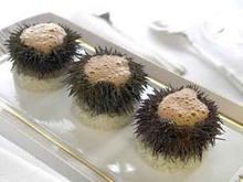 Oursin en gelée de pomme