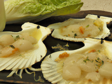 Coquilles d'endives saint jacques