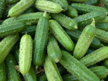 Comment préparer des cornichons ?