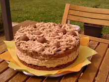 Entremets aux spéculoos avec son croustillant