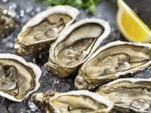 Comment conserver les huîtres ?