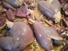 Pigeons comme au Portugal