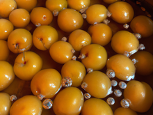 Mirabelles à l'eau de vie