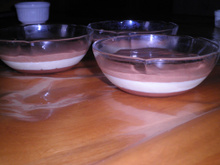 Mousse aux trois chocolats rapide