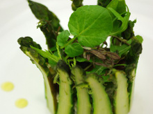 Charlotte de chèvre frais aux pointes d'asperges vertes