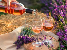 L’astuce magique avec un simple torchon pour refroidir une bouteille de rosé de dernière minute