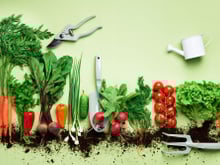 Calendrier du jardin : que planter en mai et quelles tâches effectuer ?