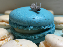 Macaron Roquefort Papillon