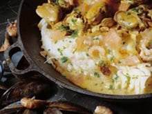 Filets de cabillaud à la chicorée façon côte d'opale