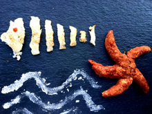 Petit poisson deviendra grand