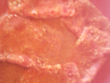 Jambon blanc cuit à la crème