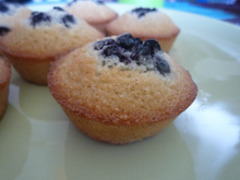 Financiers aux myrtilles