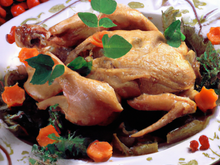 Faisan en sarcophage