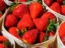 Vos fraises moisissent rapidement ? Voici comment retarder le phénomène avec ces astuces