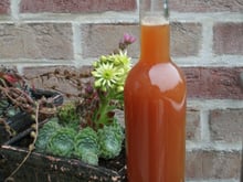 Jus de poires à la vanille pour le goûter