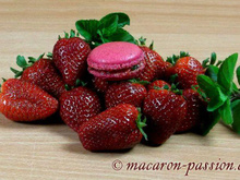 Macarons fraise menthe