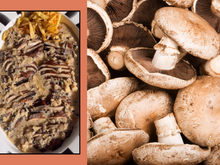 J’ai testé ce champignon portobello façon steak au poivre… c’est une vraie réussite !