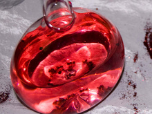 Elixir d'amour spécial St valentin