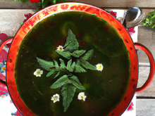 Brouet revitalisant aux orties et coquelicot, soupe