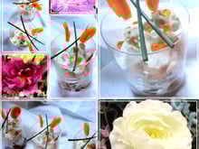 Verrine fraîcheur pour l'apéritif