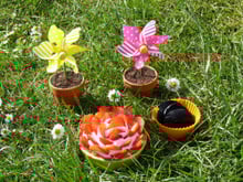 Tartelette fraise réglisse