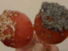 Tomates cerise d'amour