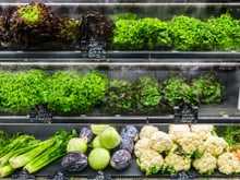 Laitue vs salade en sachet : pourquoi une telle différence de prix ?