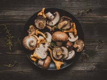 Cueillette de champignons : les intoxications en forte hausse, l’Anses rappelle les précautions indispensables