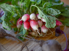 C'est quoi les fruits et les légumes de saison en mai ?