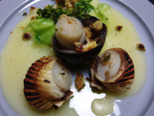 Noix de Saint-Jacques, lumaconi farcis aux morilles, vinaigrette tranché au jus de volaille