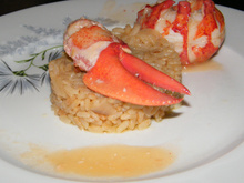 Civet de homard et son risotto