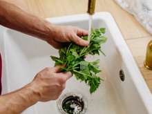 Herbes aromatiques : voici ce que l’on devrait toujours faire avant de cuisiner