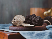 Adopter un chêne truffier,  c’est possible !